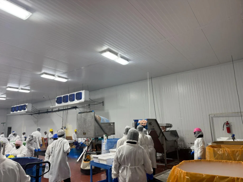 Picture of a commercial food facility showing “How long should a refrigerator last